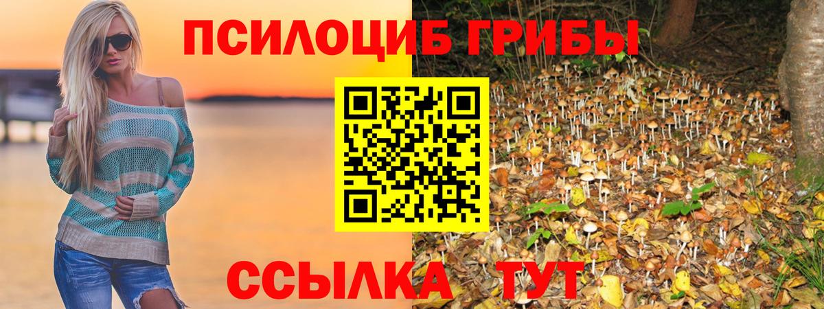 Галлюциногенные грибы мухоморы Геленджик