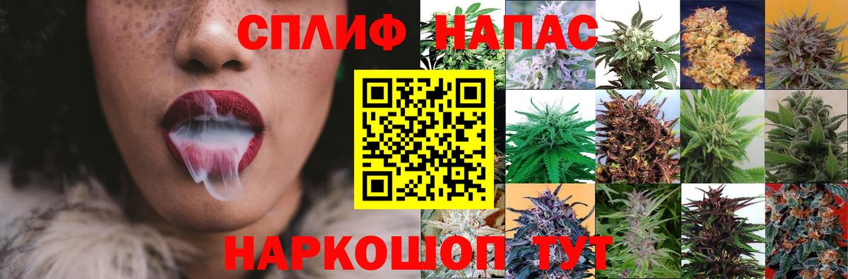 Каннабис сатива  Конопля конопля  Геленджик  Вход с VPN  Марихуана VHQ  Каннабис тримм 