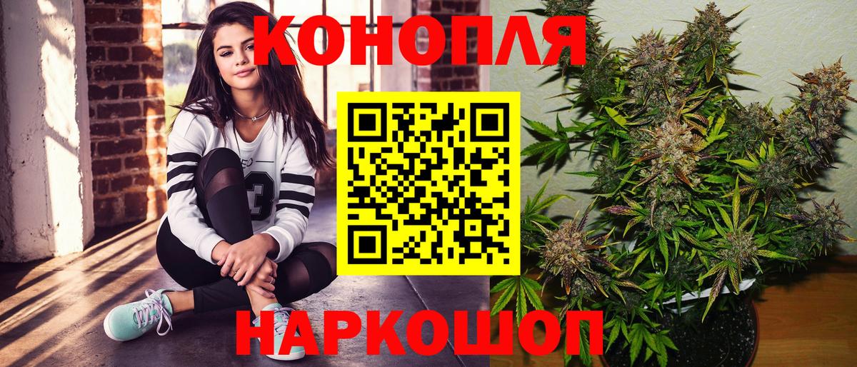 Шишки марихуана сатива Геленджик